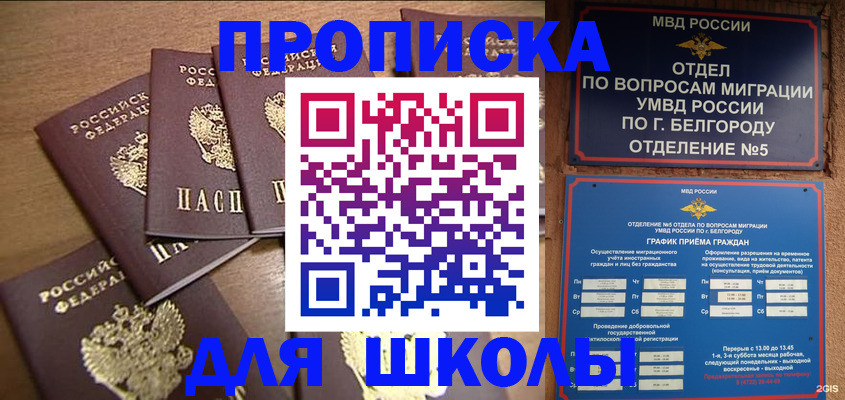 прописка гарантия в Барыше